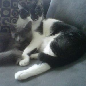 Meet your Posher, Helen